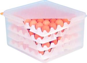 Bild von Eier-Box  35,4x32,5x20cm, mit 8  Einlagen für je 30 Eier
